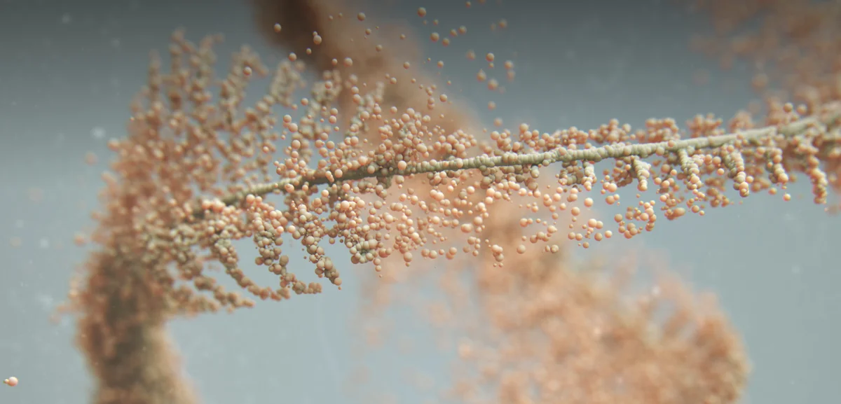 Pollogen Maximus – Opis i Funkcionisanje